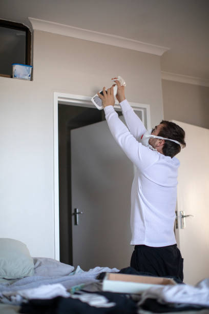 Best Asbestos and Lead Testing During Mold Inspection  in Harrison, MI