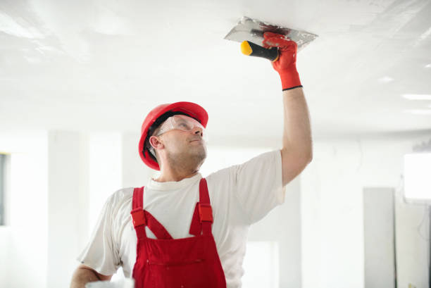 Best Mold Prevention Services  in Harrison, MI