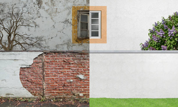 Best Commercial Mold Inspection  in Harrison, MI