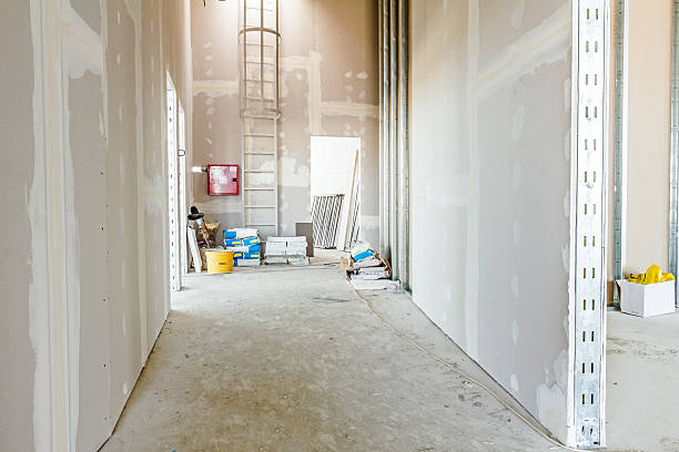 Best Mold Documentation for Insurance Claims  in Harrison, MI